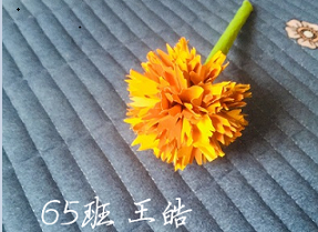 衡陽(yáng)市蒸湘區(qū)仁愛(ài)實(shí)驗(yàn)中學(xué)|衡陽(yáng)全日制|全寄宿|全封閉|半月假制初級(jí)中學(xué)